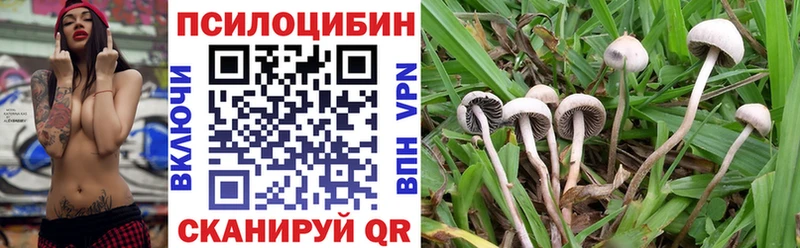 Псилоцибиновые грибы Cubensis  как найти   гидра вход  Бугуруслан 